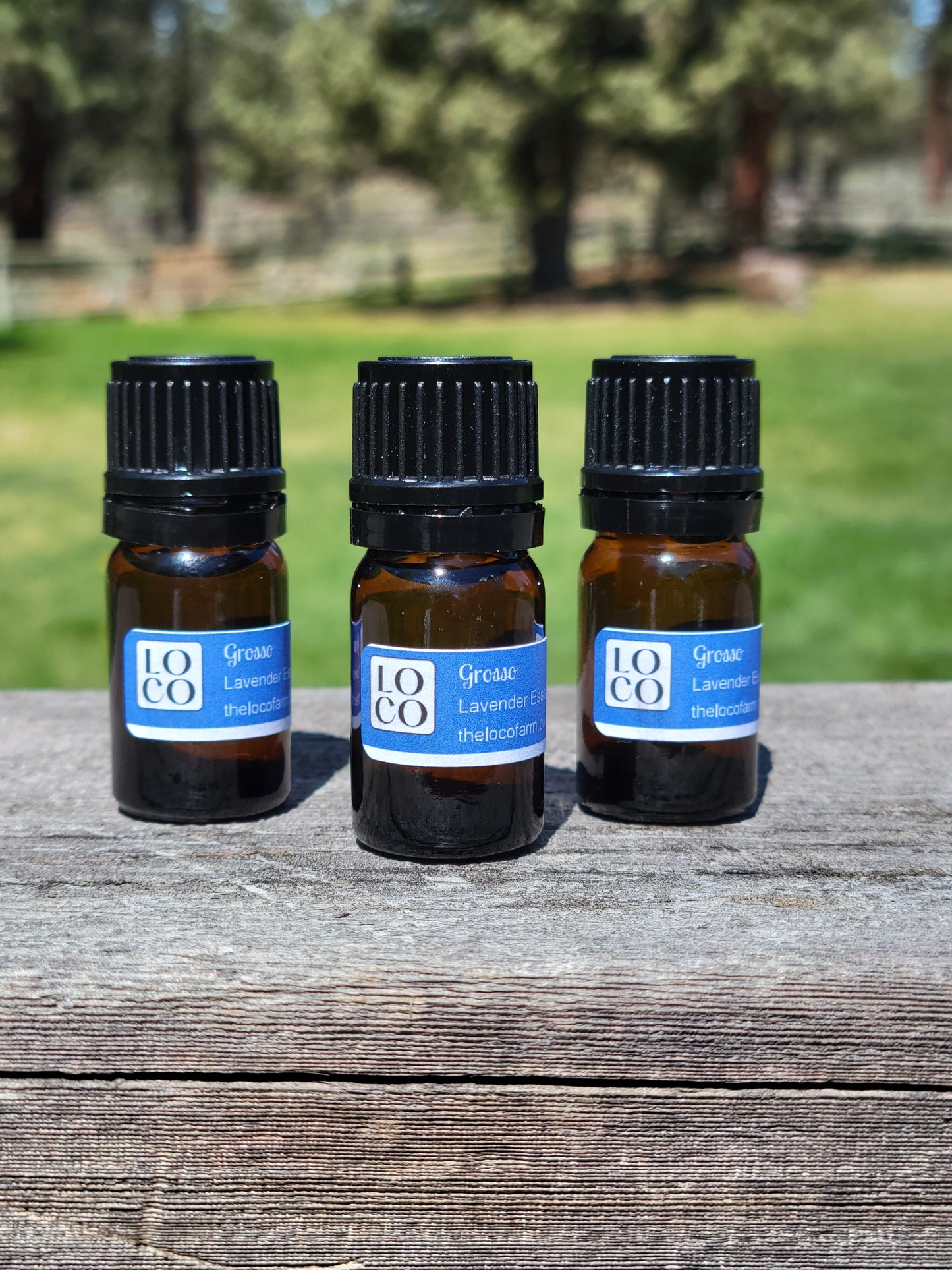Lavender Organic Essential Oil